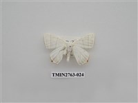 藏品(尺蛾332)的圖片